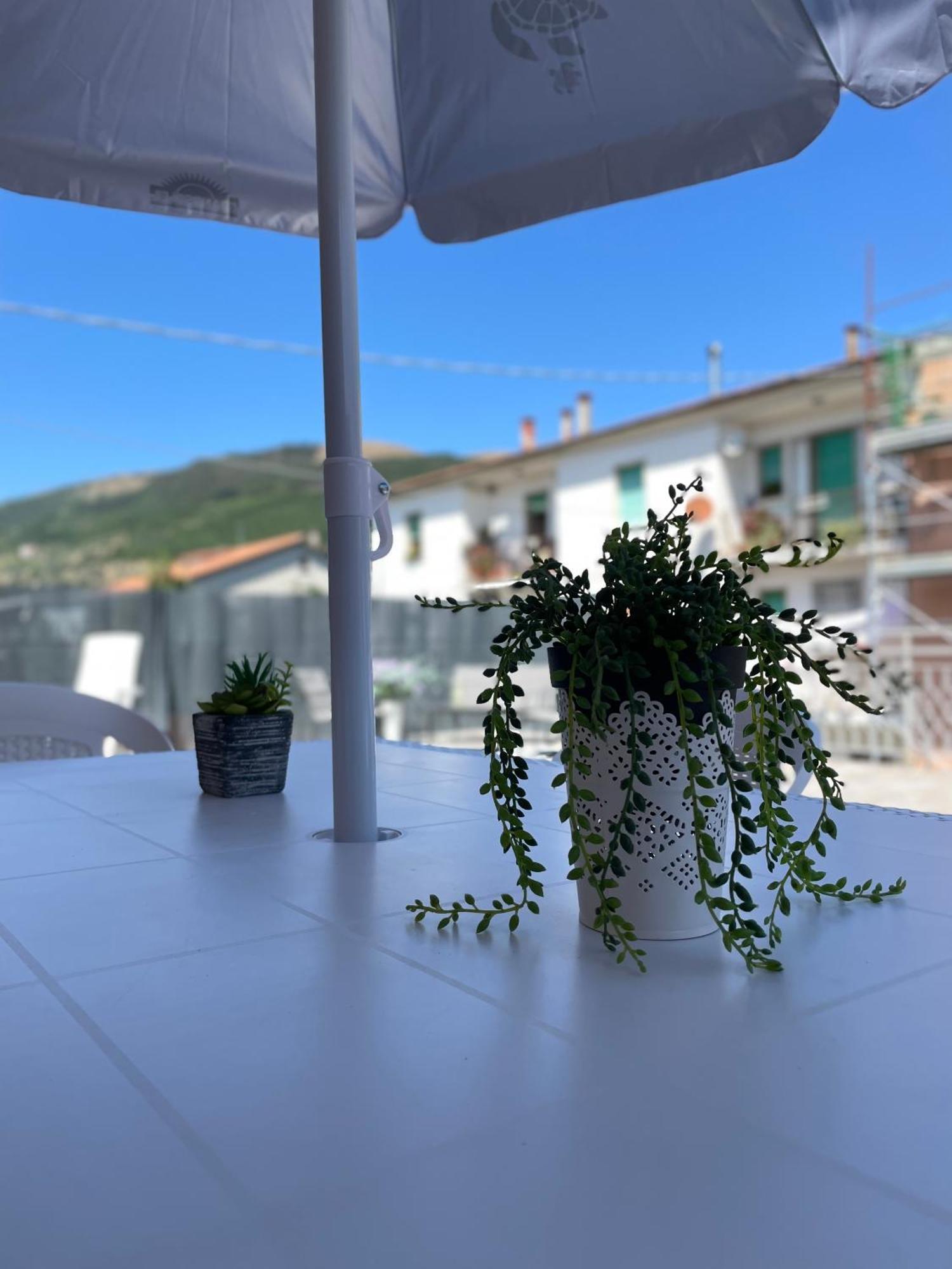 Apartmán La Signora Dei Fiori Gubbio Exteriér fotografie